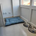 Areal Apartment *